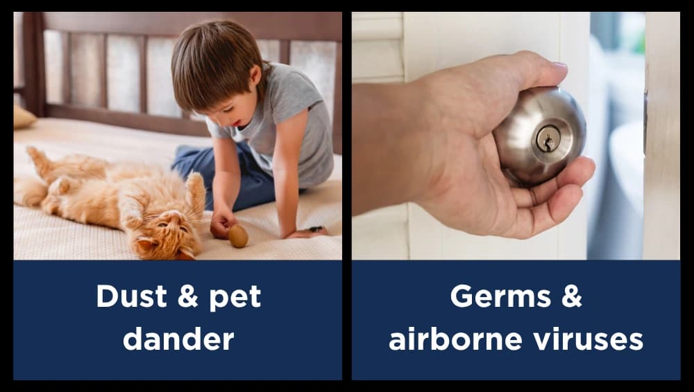 Dust & pet dander. Germs & airborne viruses.